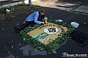 VBS_9512 - Infiorata di Villanova d'Asti 2023